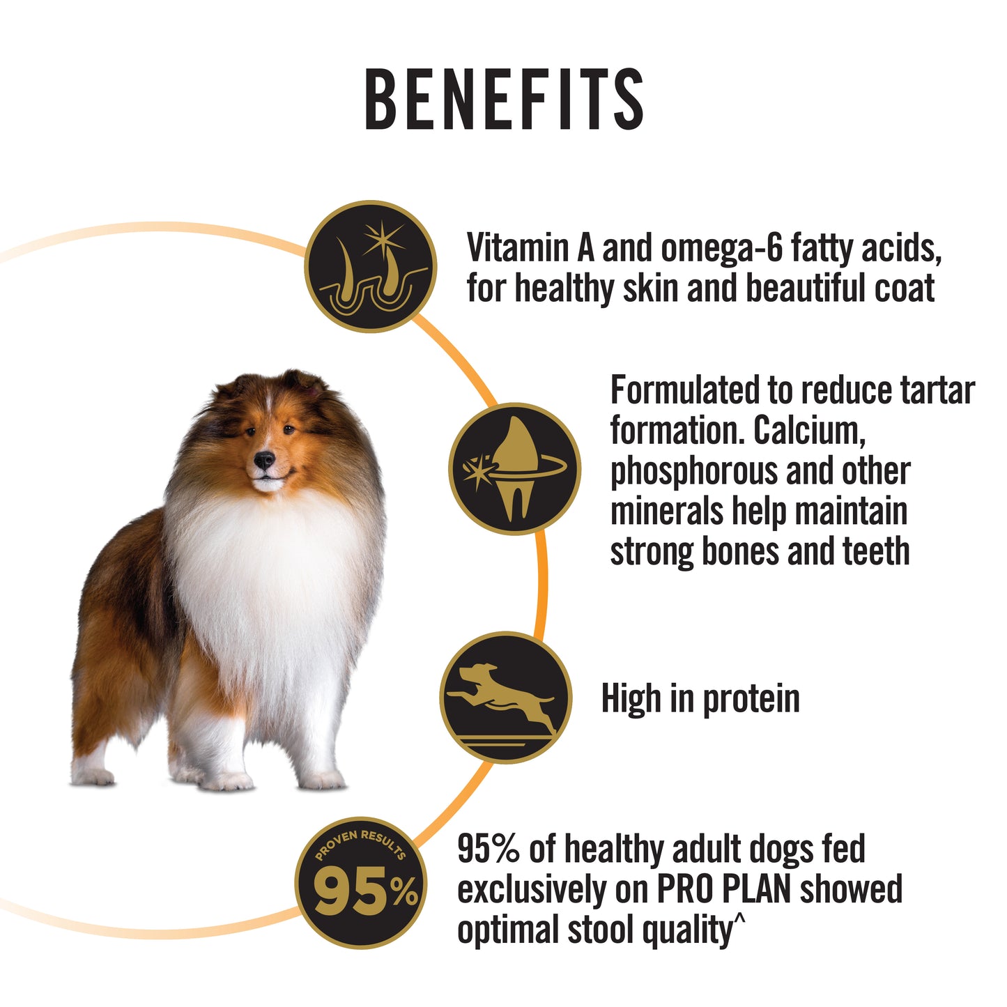 ProPlan Adult Essential Health 3kg #12519098(NEW)