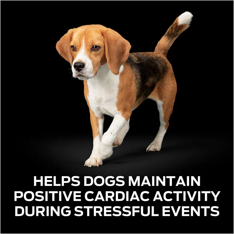 PURINA Dog Calming Care 1g