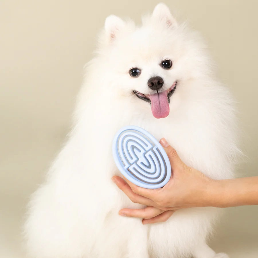 PLUME Everyday Brush-SPCA HK