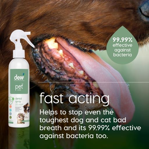 Dew Pet Care Dental Spray 250ml #NDP-05-250