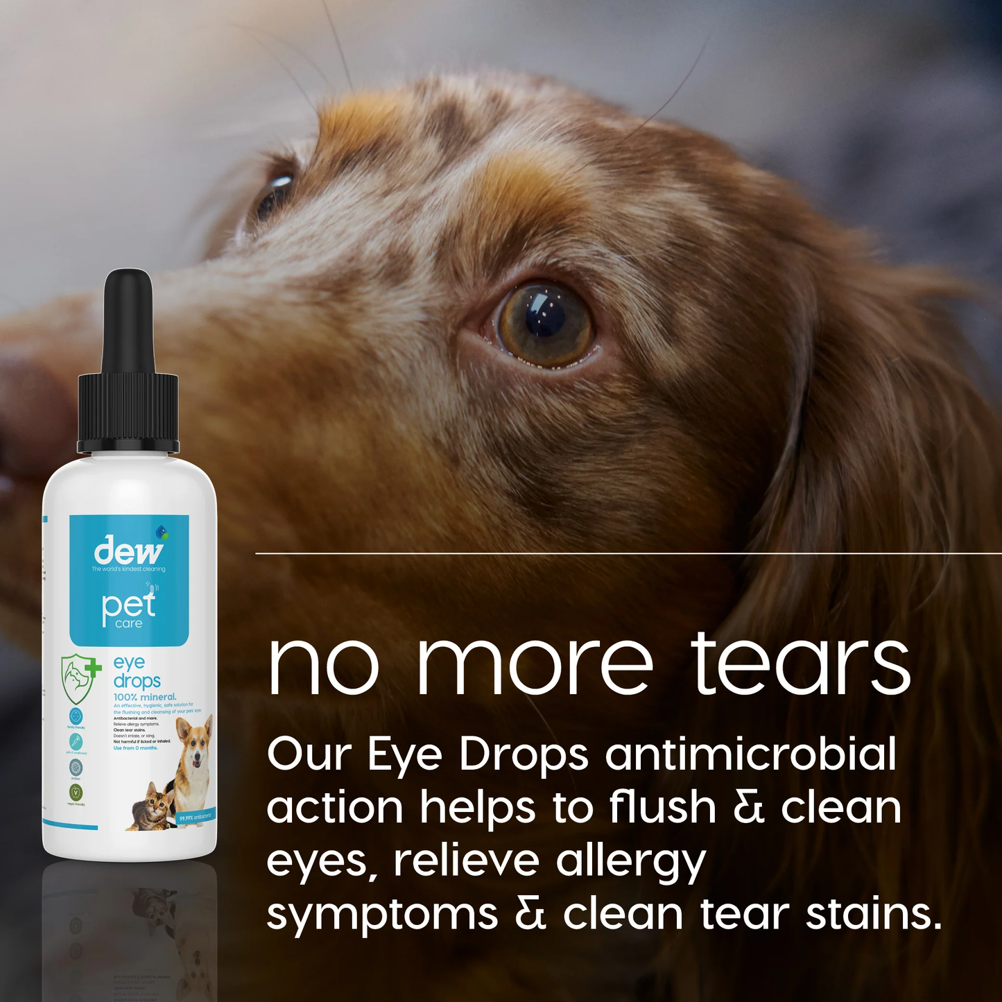 Dew Pet Care Eye Drops 65ml #NDP-06-65-SPCA HK