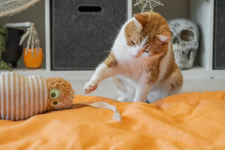 P.L.A.Y. - Feline Frenzy Kicker - Mummy #PY7166BMF-SPCA HK