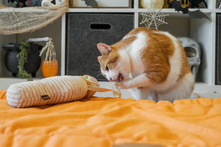 P.L.A.Y. - Feline Frenzy Kicker - Mummy #PY7166BMF-SPCA HK