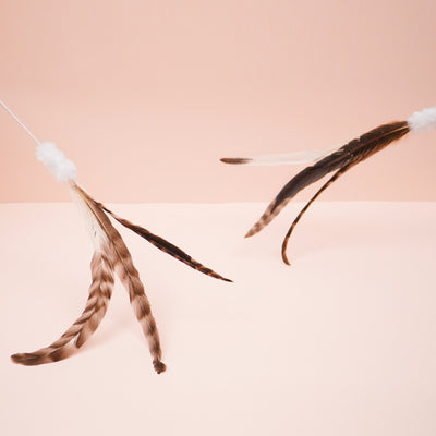 Zooahpet - Three Chicken 100cm-SPCA HK