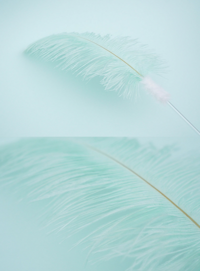 Zooahpet - Ostrich Stick 100cm-Green-SPCA HK