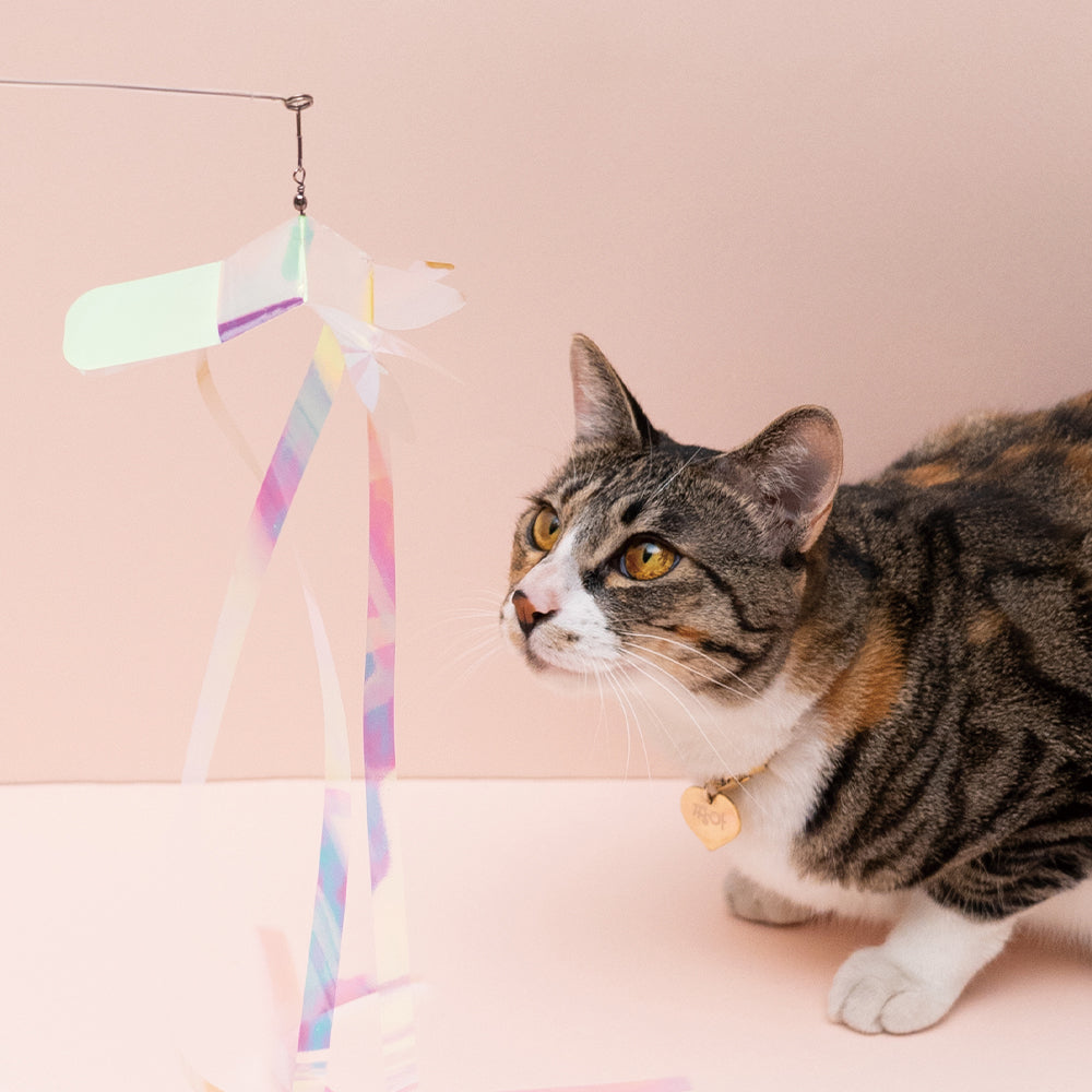 Zooahpet - Long Stick Top 100-180cm-SPCA HK