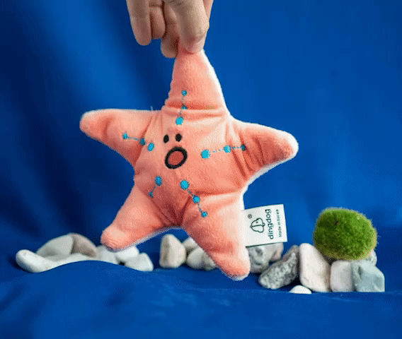 Dingdog - Seafood Starfish