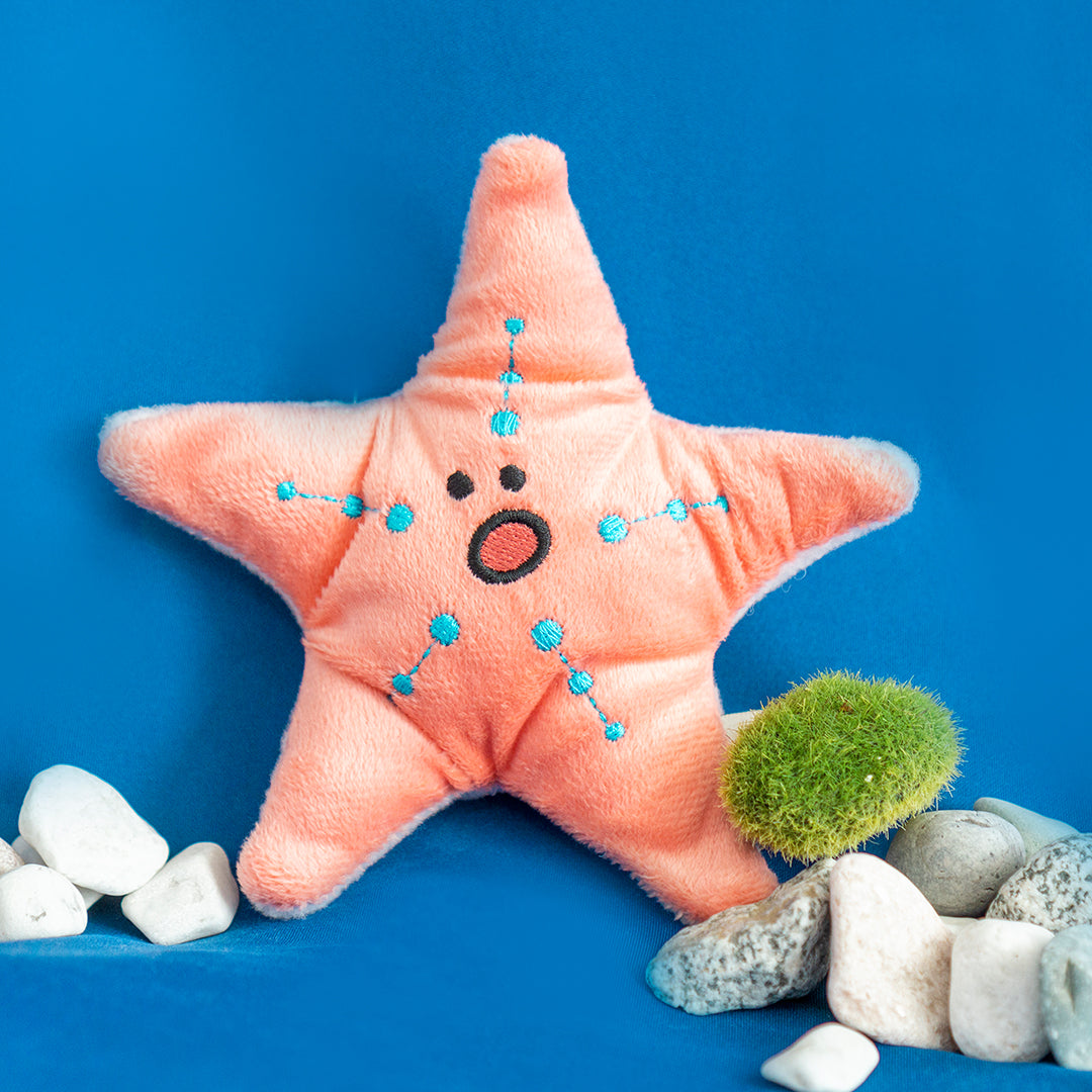 Dingdog - Seafood Starfish