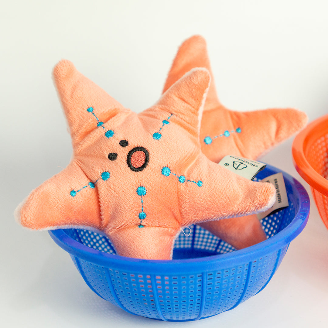 Dingdog - Seafood Starfish