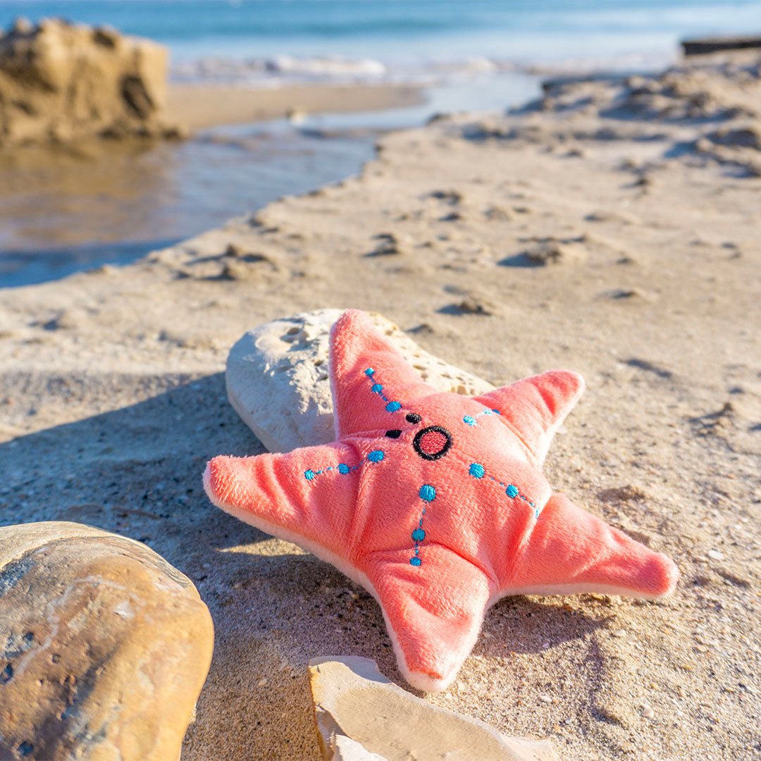 Dingdog - Seafood Starfish