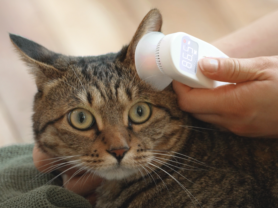 DearBuds Pro Ear Dehumidifier(APP Available) -Cat/Dog/Human