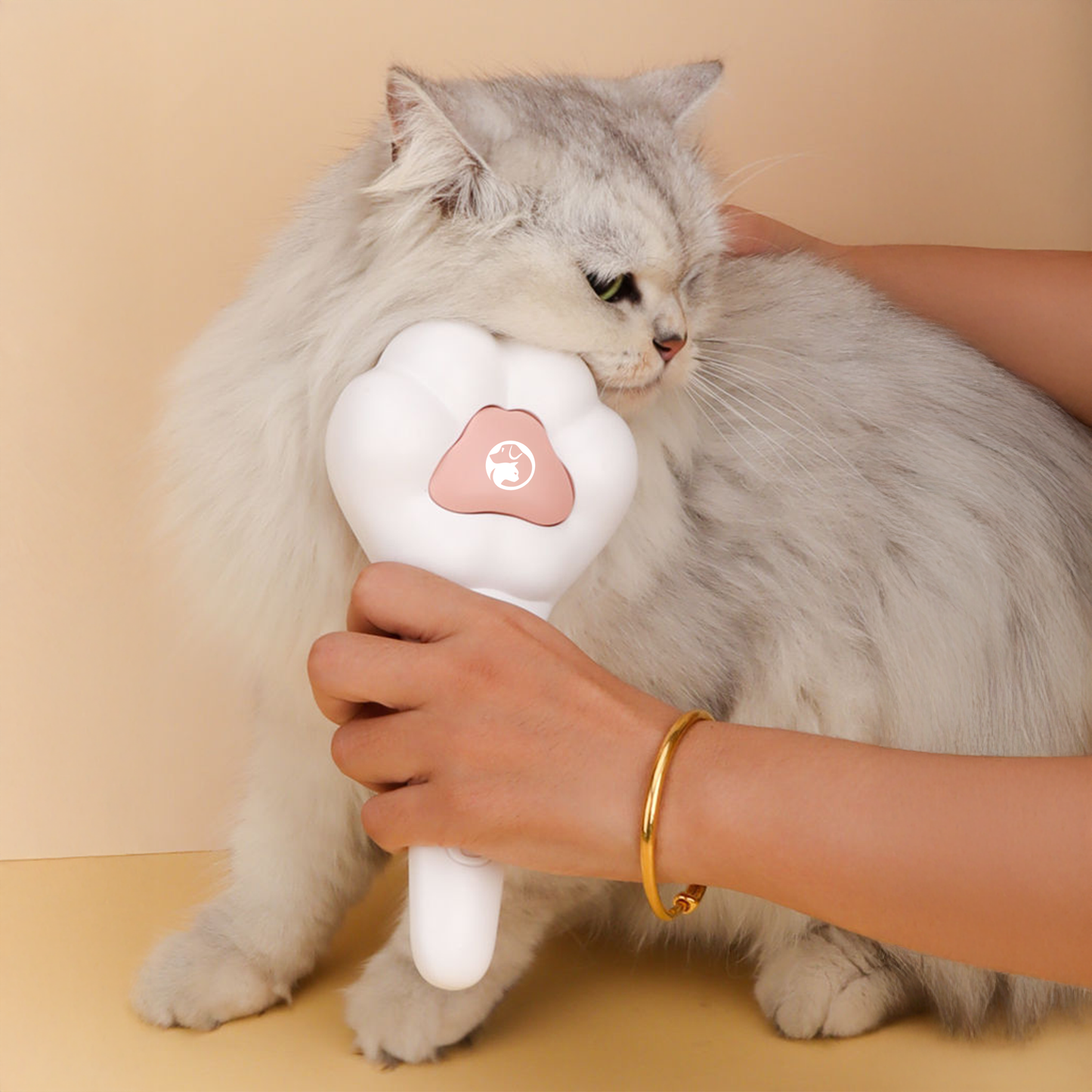 DIY Paw Slicker Brush