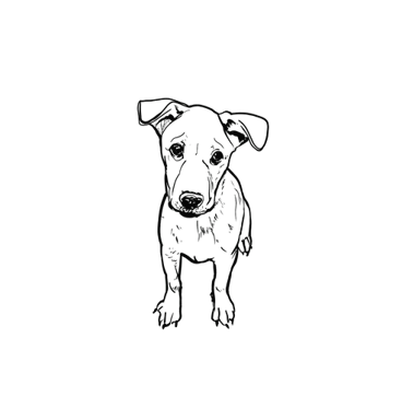 SPCA Tattoo - Mongrel