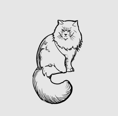 SPCA Tattoo - Long Hair Cat