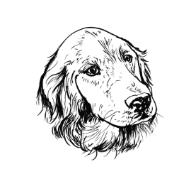 SPCA Tattoo - Golden