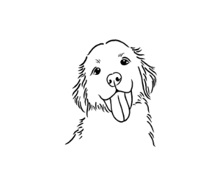 SPCA Tattoo - Golden
