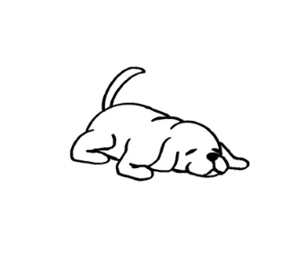 SPCA Tattoo - Golden