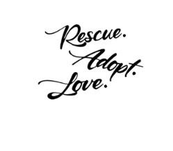 SPCA Tattoo - Golden