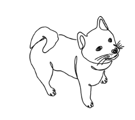 SPCA Tattoo - Shiba