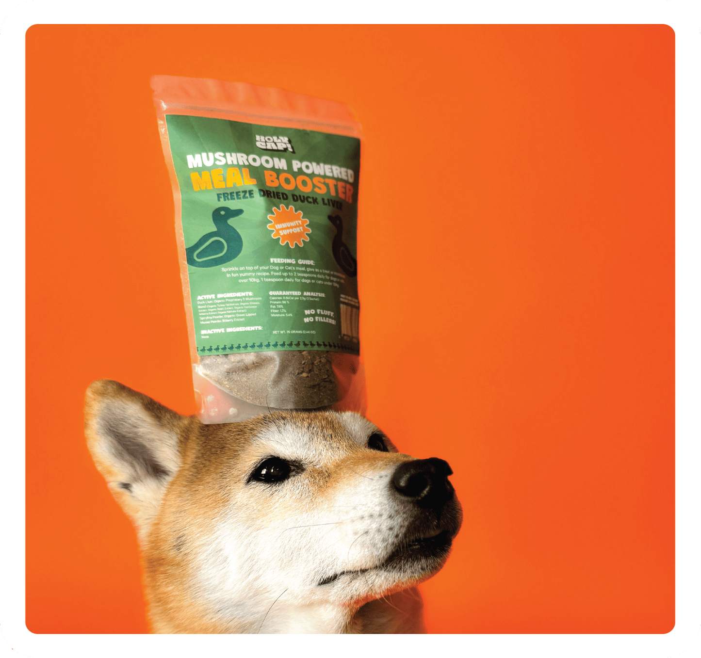 Holy Cap - Meal Boosters (Immunity) 70g