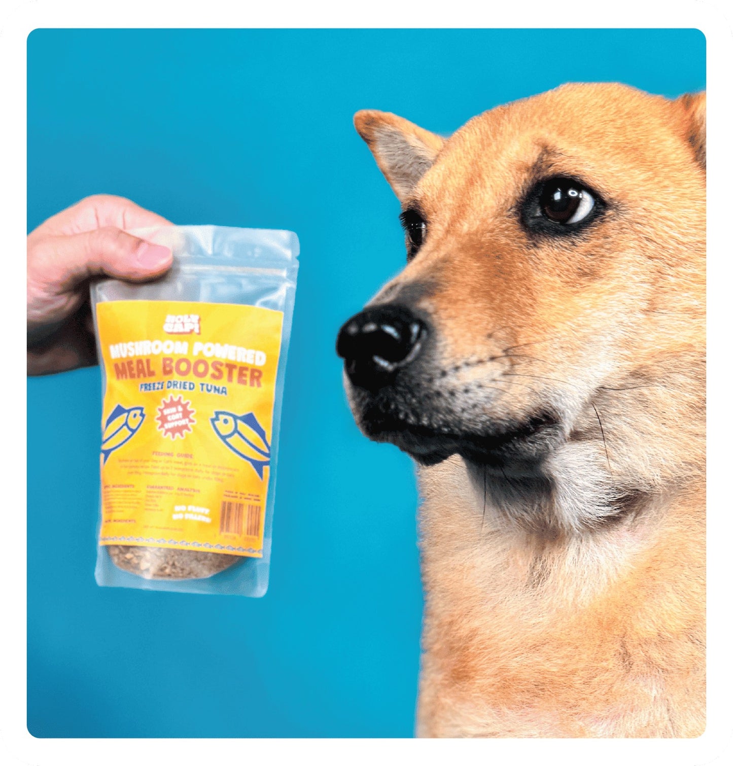 Holy Cap - Meal Boosters (Skin & Coat) 70g