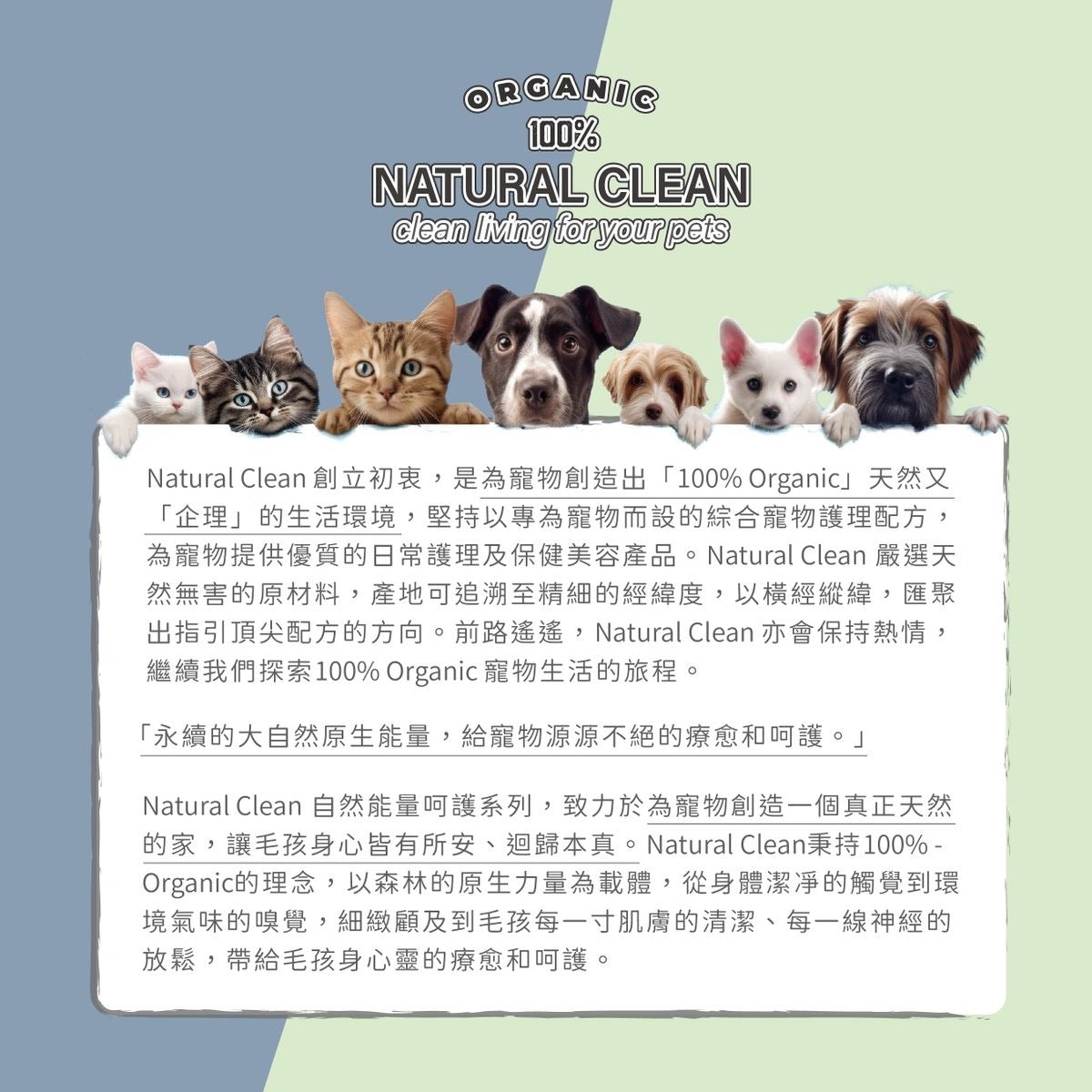 Natural Clean寵物肉球乾洗泡沫 150ml