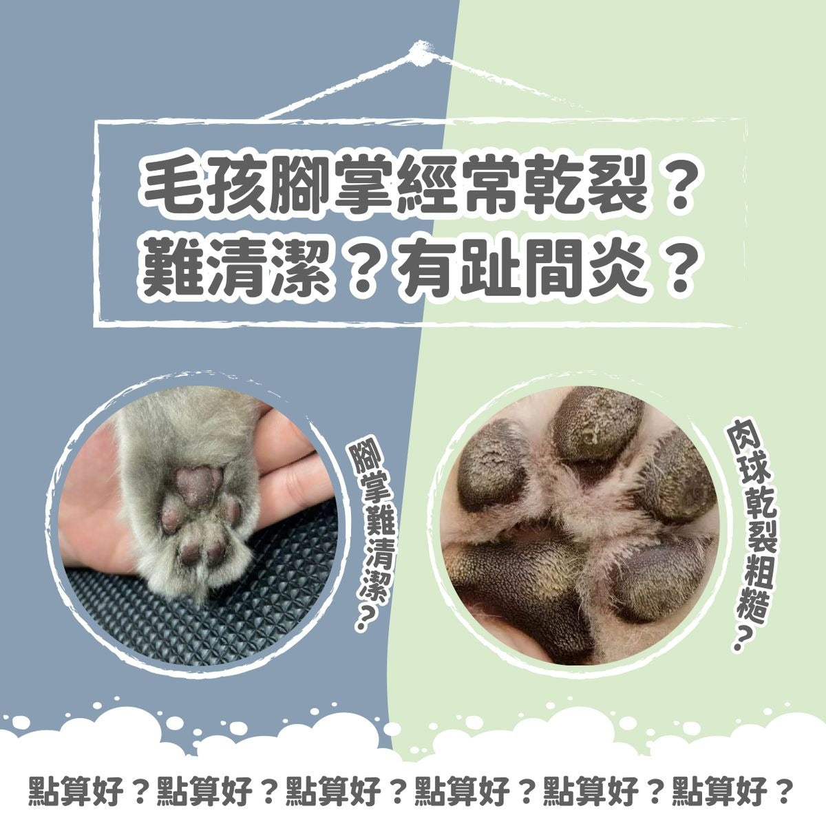 Natural Clean寵物肉球乾洗泡沫 150ml