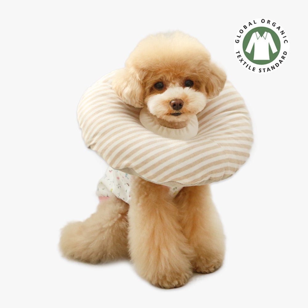 Organic Home Care Recovery Neckcolla| For Post-Surgery / Skin Condition Care