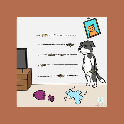 Woof² 'I'm Sorry' Card