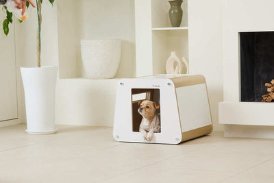 TAILODY - Mute Bunker (Pre-order) - SPCA HK