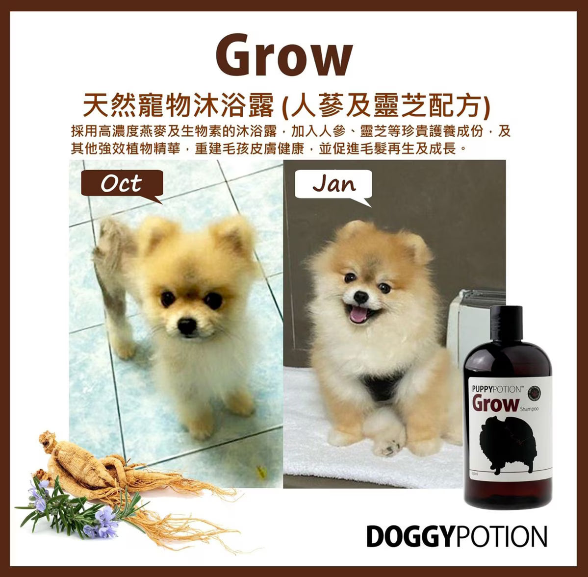 DOGGY-Grow Shampoo W/Ginseng&Lingzhi Extract 500ml