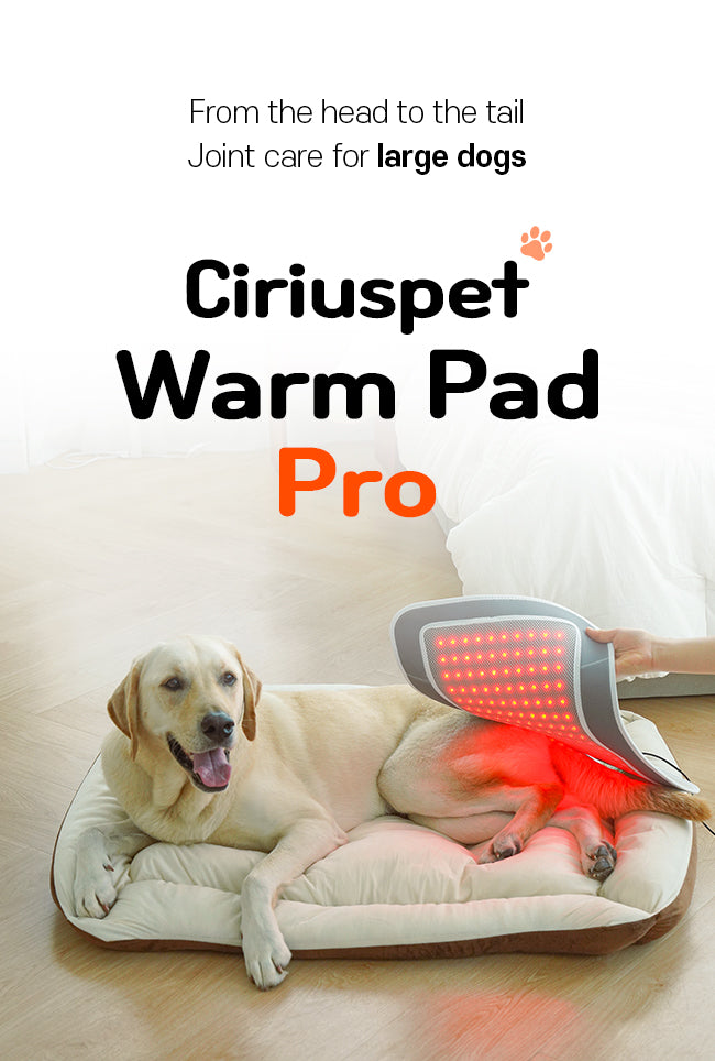 Cirius pet Warm Pad-Pro (Enlargr) PH-LS07 (Pre Order)