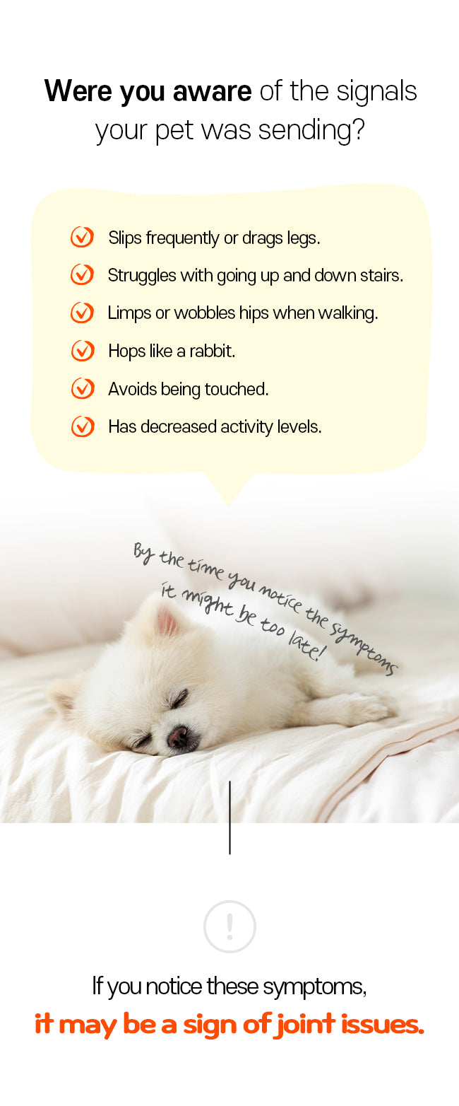 Cirius pet Warm Pad-Pro (Enlargr) PH-LS07 (Pre Order)