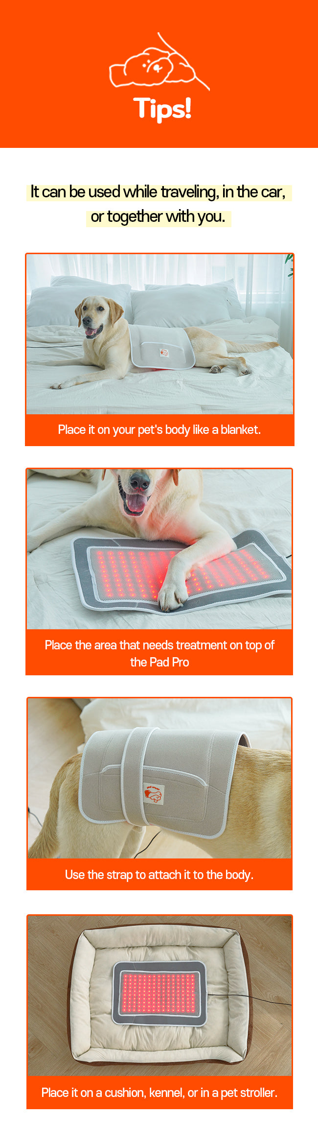 Cirius pet Warm Pad-Pro (Enlargr) PH-LS07 (Pre Order)