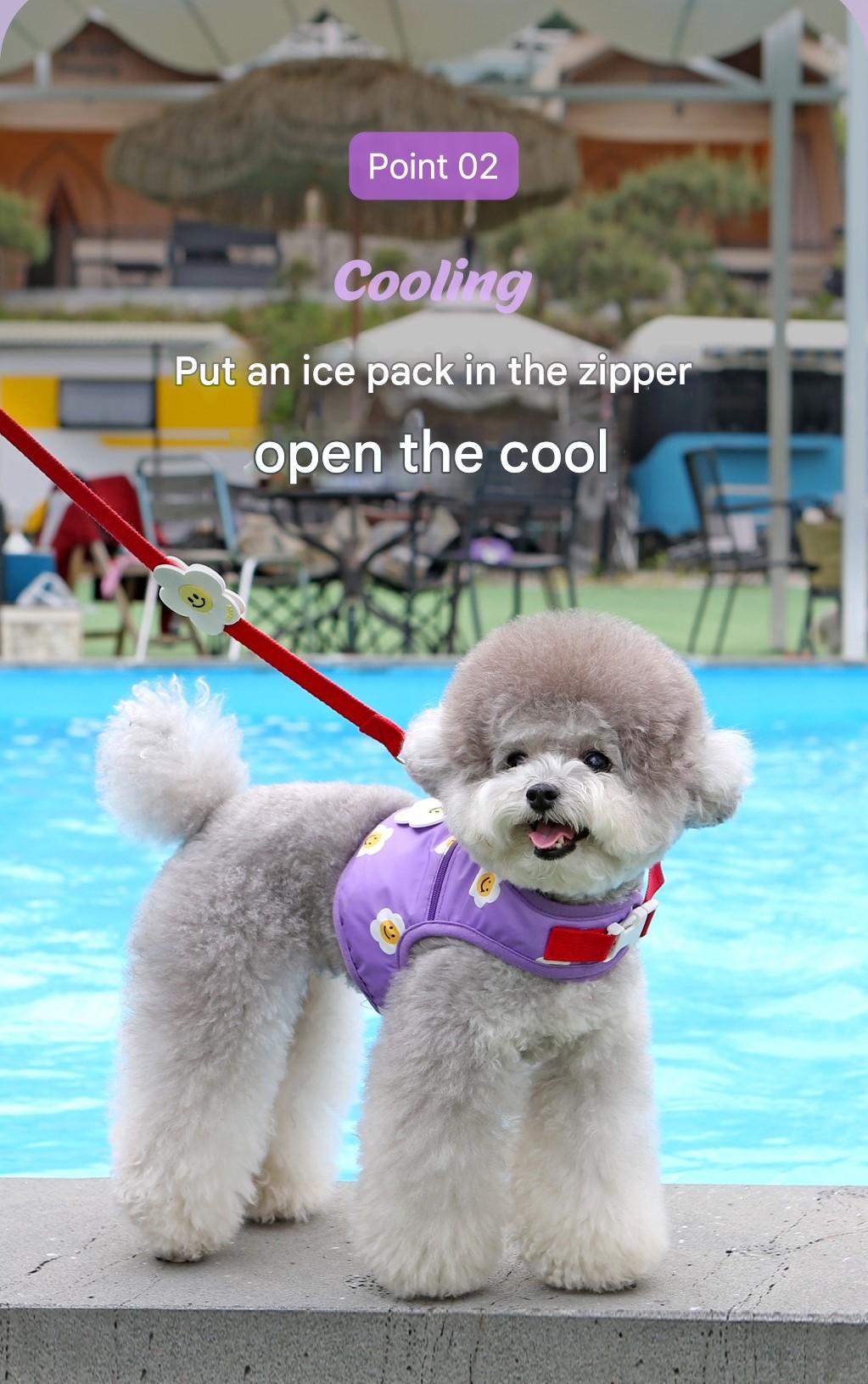 Ice Popping Cool Harness