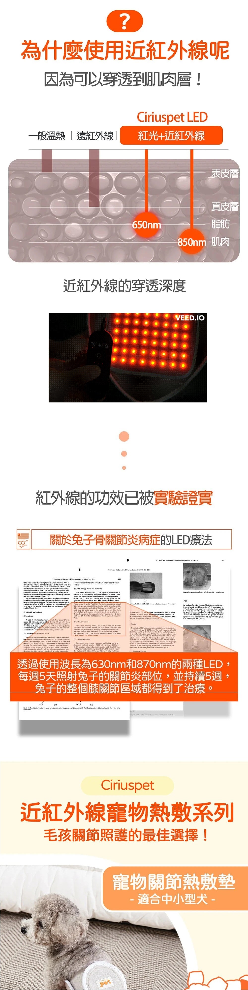 Cirius Pet 寵物紅外線光療墊-加長款 (需預訂)