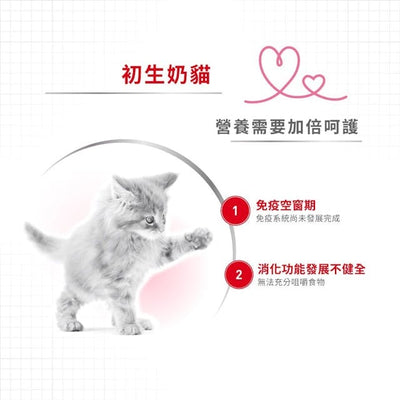 FHN Babycat Milk300g #2736300-SPCA HK
