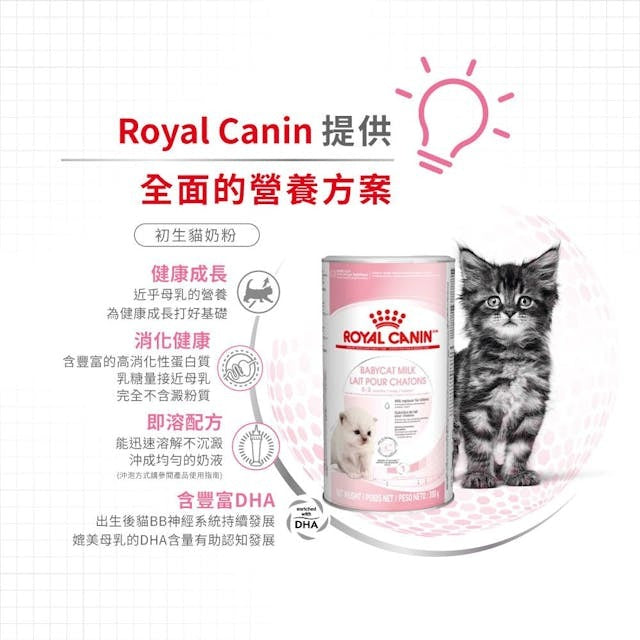 FHN Babycat Milk300g #2736300-SPCA HK