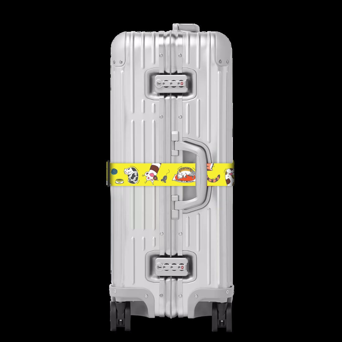 Luggage Belt