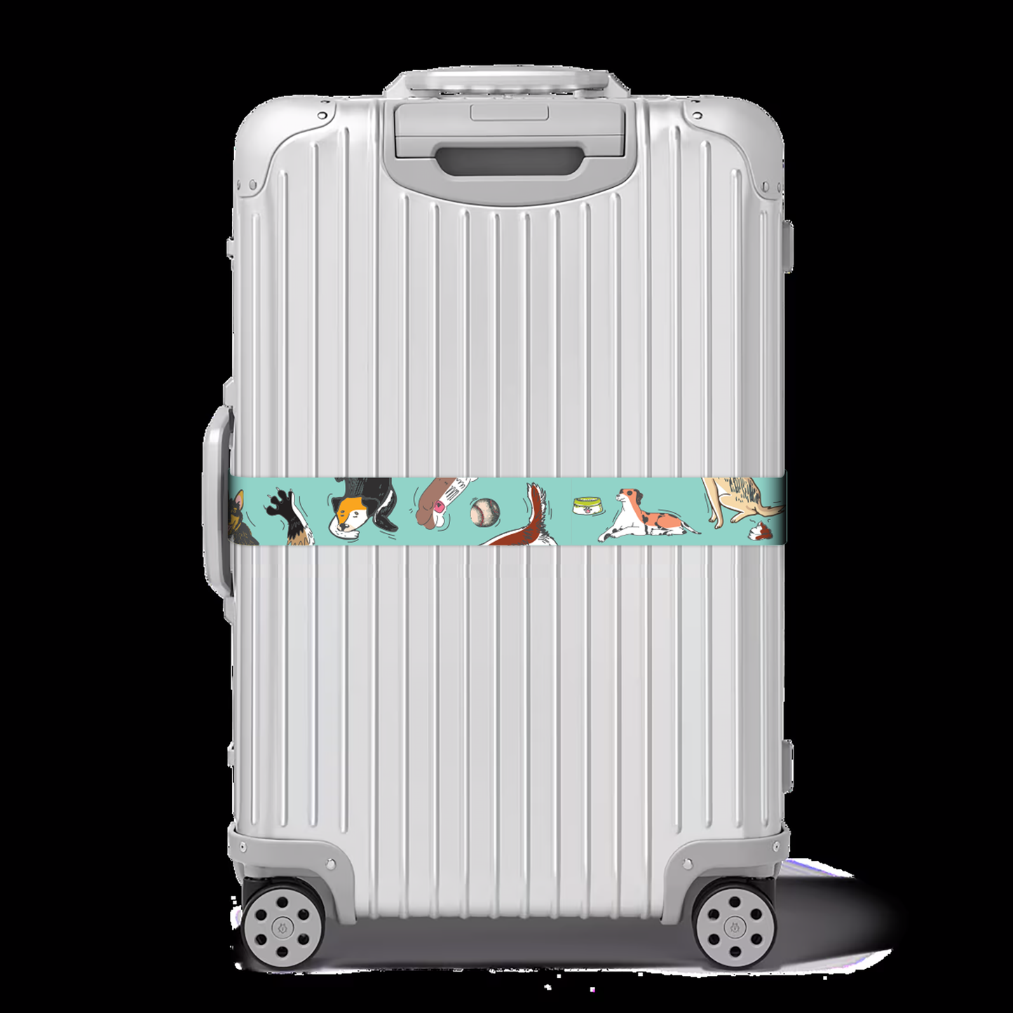 Luggage Belt