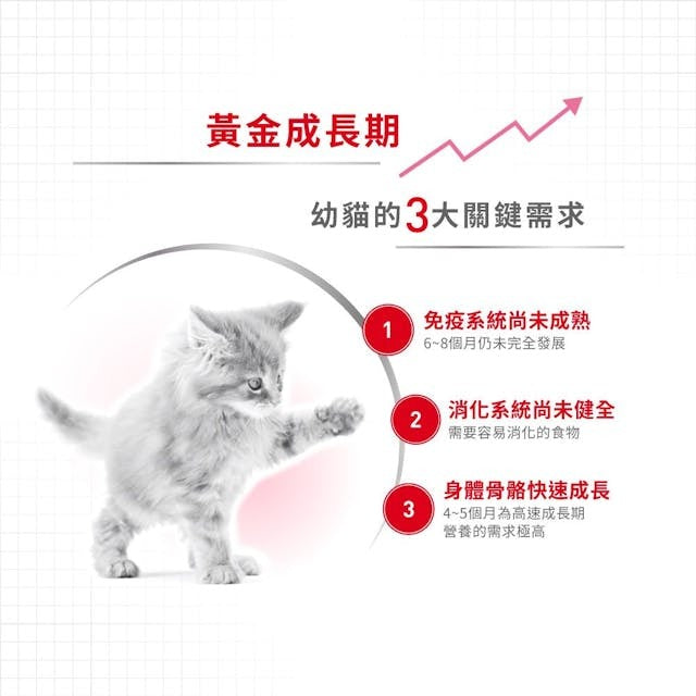 RC FHN Pouch Kitten (Gravy) 85g #3075400-SPCA HK
