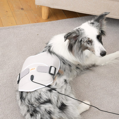 Cirius Pet Warm Pad (Caring) TG-LH01 (Pre Order)