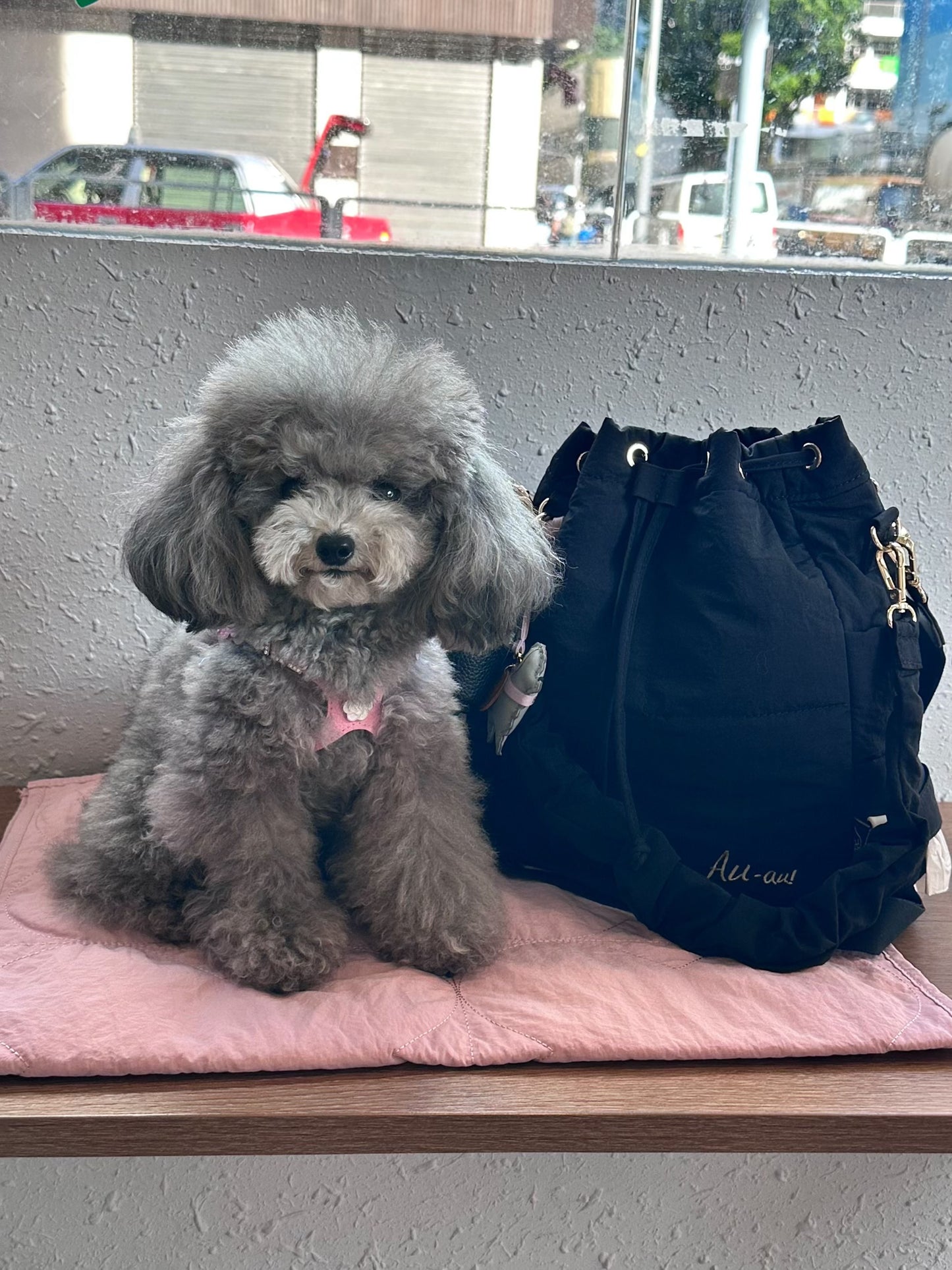 AU-au! Daily Bubble Bag