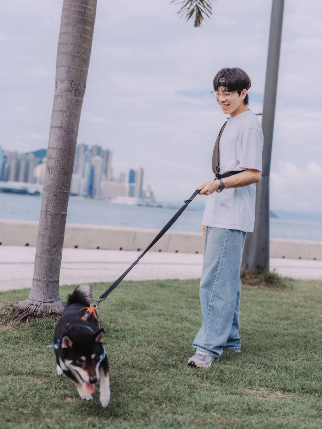 AU-au! Leslie Multi-Functional Dog Leash