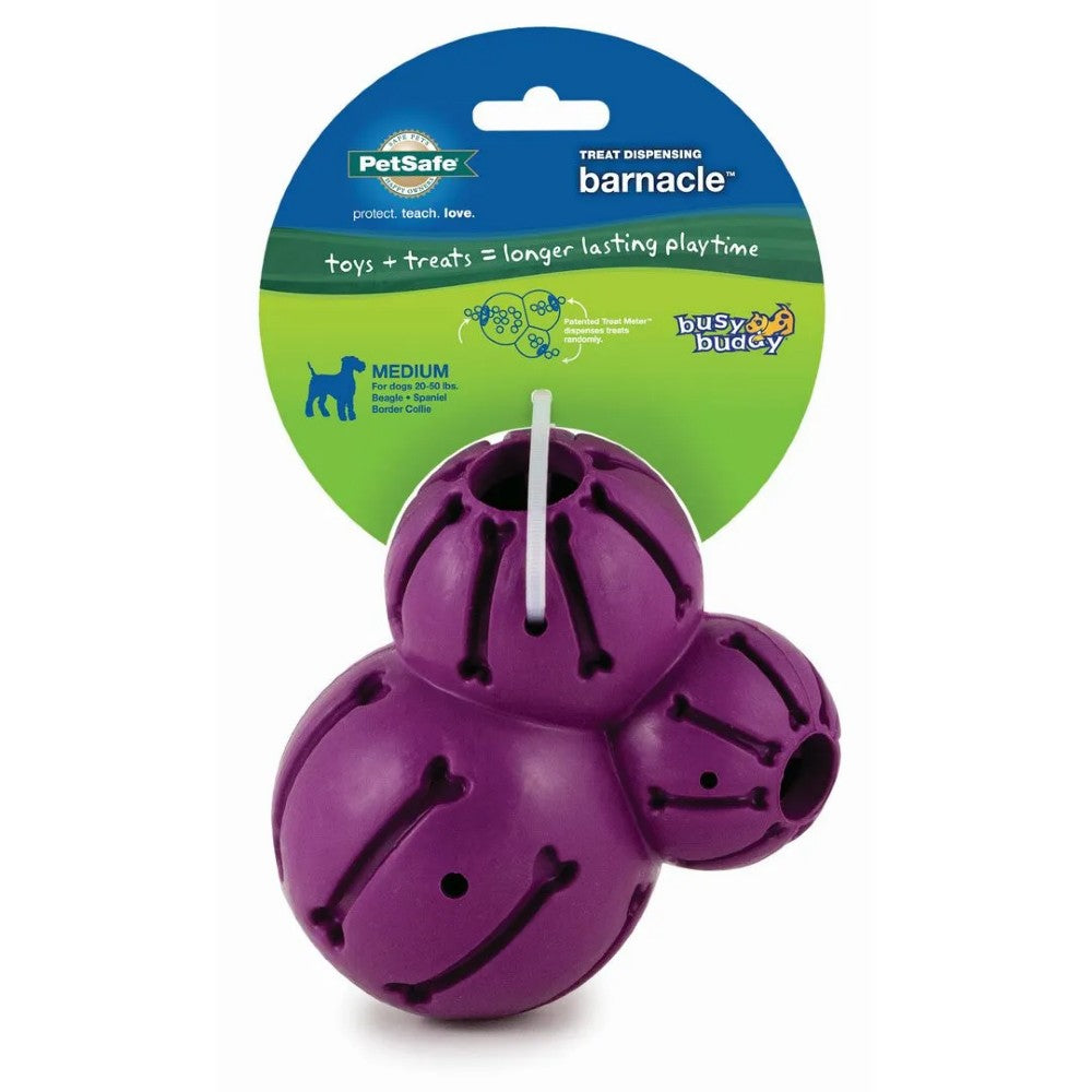 Busy Buddy® Barnacle (L)
