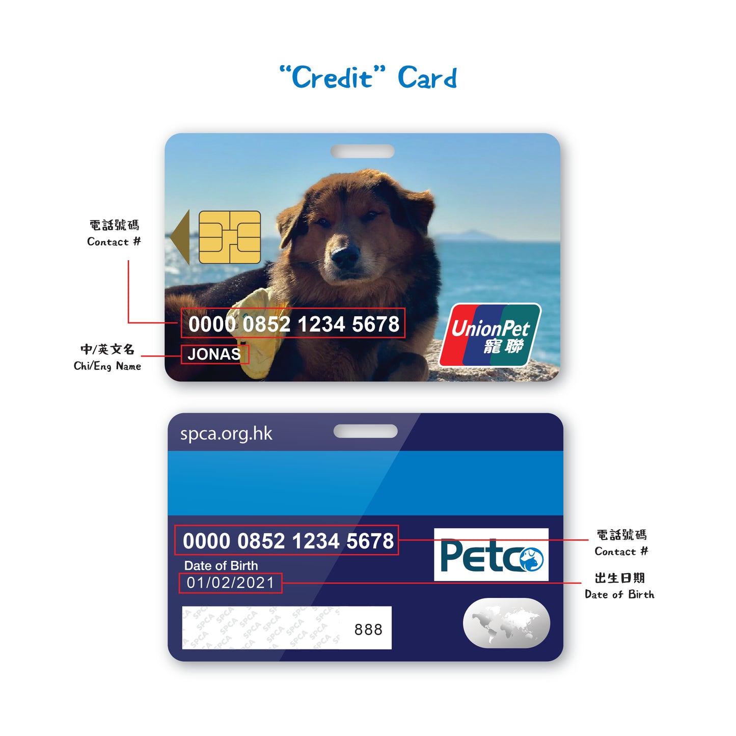 Customised "ID" / "Credit" Card
