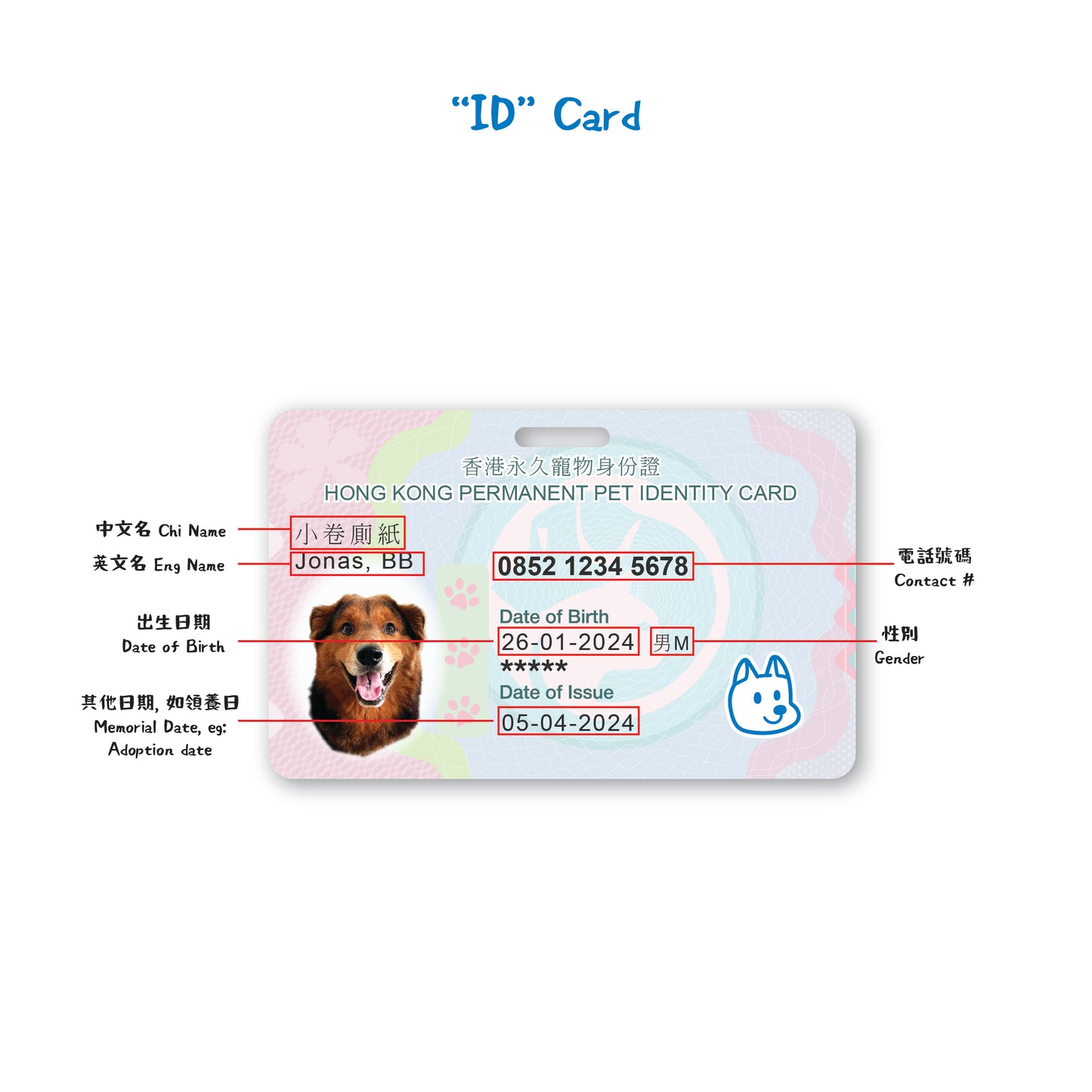 Customised "ID" / "Credit" Card
