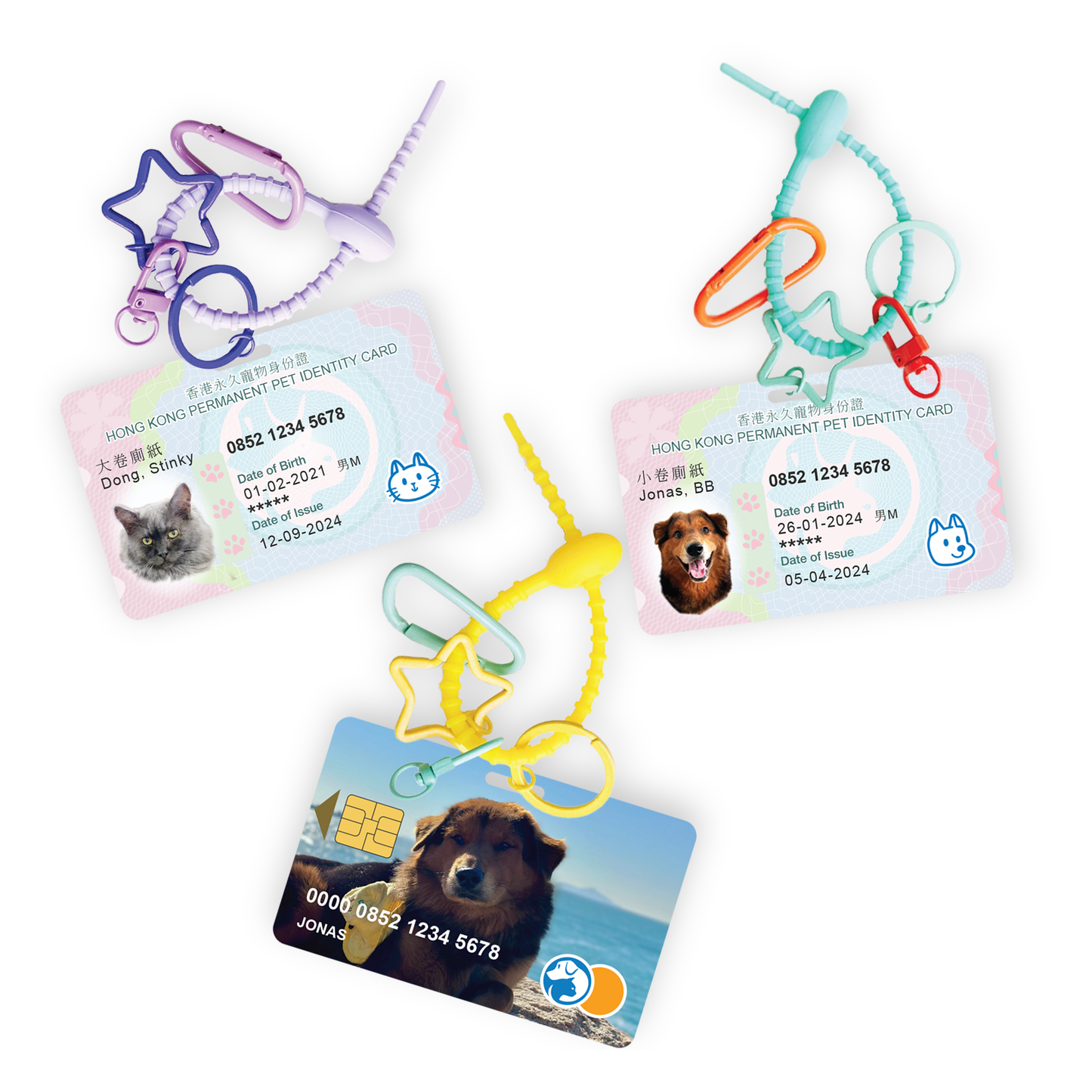 Customised "ID" / "Credit" Card