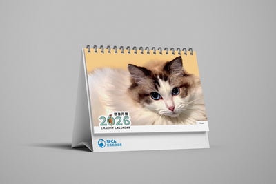 SPCA Cat Weekly Desk Calendar 2026