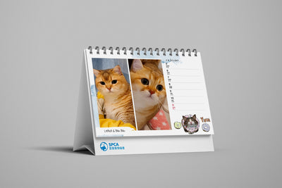 SPCA Cat Weekly Desk Calendar 2026